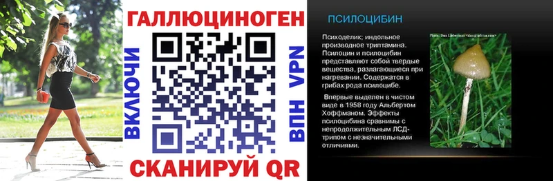 Галлюциногенные грибы Psilocybe  Электрогорск 